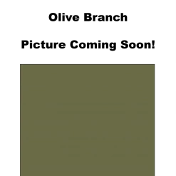 Loki Loki Apparel Men's Mountain Jacket